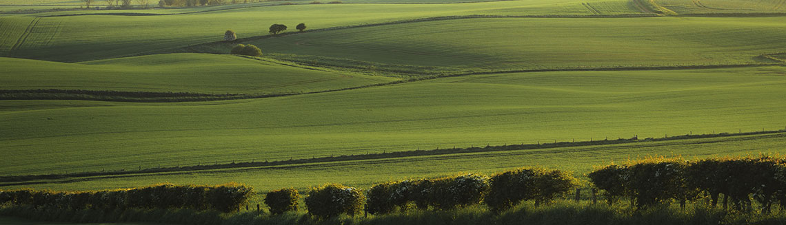 Picture of agricultural farming land.