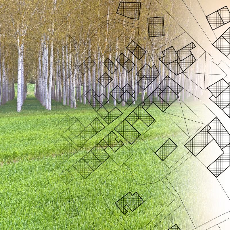 HSR Law - Difference Between Freehold and Leasehold Land - Feature